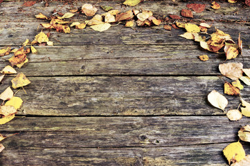yellow autumn leaves on the background a dark old wood
