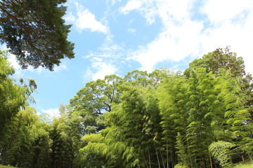 travel in Japan