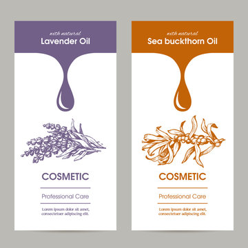 Vector Set Packaging Design For Cosmetic With Sketch Illustration Of Lavender An