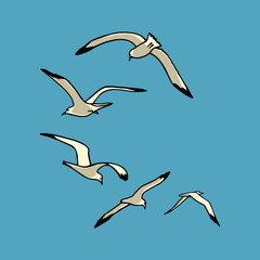 Sea gulls illustration