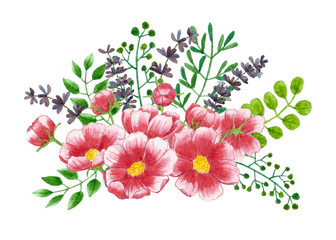 Bouquet of cosmos flowers and leaves, Floral watercolor painting on isolate backgrounds.