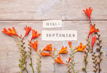  HELLO SEPTEMBER printed on retro  paper with crocosmia flowers © iLight photo