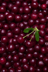 Top view of fresh organic cherries berries