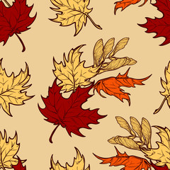 Autumn maple leaves and seads seamless pattern