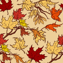 Autumn maple branches and seads seamless pattern