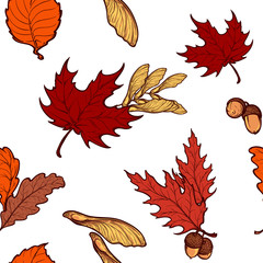 Autumn maple leaves and seeds seamless pattern