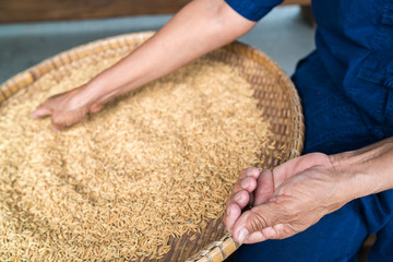 Farmers sit sorting and grain of rice apart.
