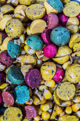 Boilies, fishing baits, close up.