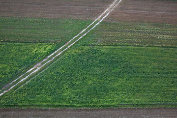 Obraz premium aerial of fields in summer colors 