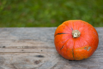 Kürbis auf Holztisch, draußen