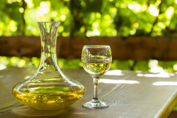 White wine bottle, glass, young vine and bunch of grapes against green spring background