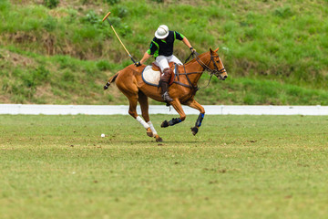 Polo Players Ponies equestrian game action