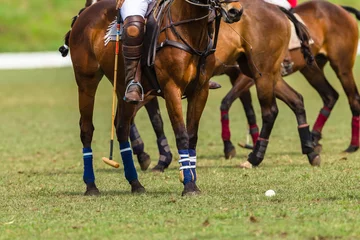 Foto auf Acrylglas Reiten Polo Players Horse equestrian closeup abstract game action