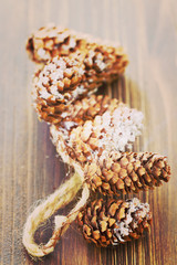 pine cones on brown wooden background