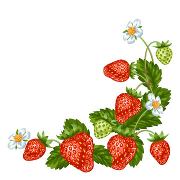 Decorative element with red strawberries. Illustration of berries and leaves