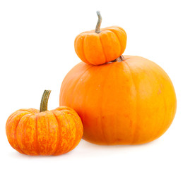 Three orange pumpkins isolated on white background