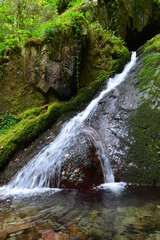 Fototapeta premium Allerheiligen-Wasserfälle Oppenau in Baden-Württemberg