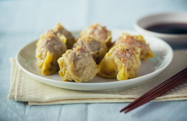 pork and shrimp dumplings in plate