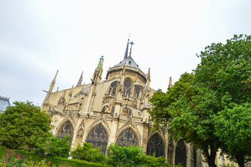 Fototapeta na wymiar The Cathedral of Notre Dame, Paris, France