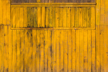 Yellow wood texture