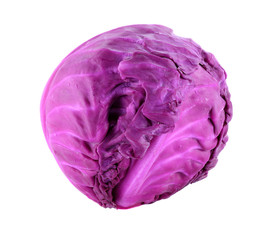 Obraz premium Purple cabbage on white background
