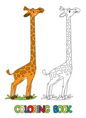 Funny Giraffe. Coloring book