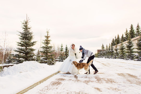 Wedding couple with a dog in winter