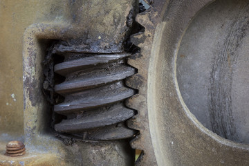 worm gear