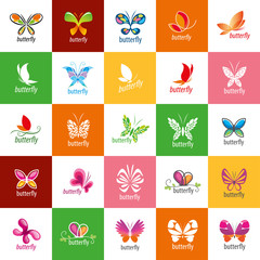 Fototapeta na wymiar vector butterfly logo