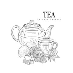 Tea And Its Components Hand Drawn Realistic Sketch