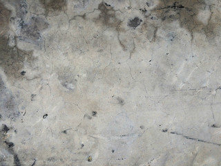 Old concrete cracks