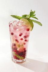 ice cocktail cranberries and Mint