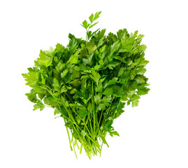 Plakat bunch of fresh parsley leafs isolated on white