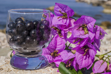 fresh dark fruits and Bougainvillea