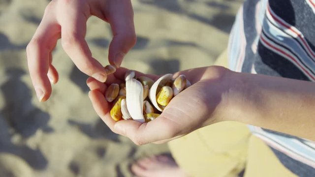 Boy at beach with shells in hand