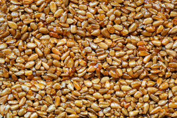 Kozinaki made from sunflower seeds, nuts, sesame seeds in a sugar syrup as a food background or texture. background, texture brittle from sunflower