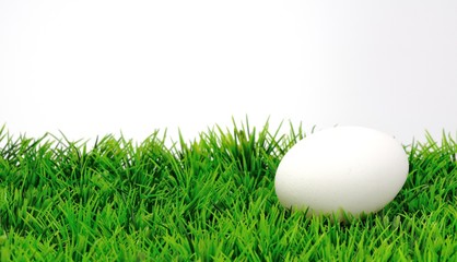 Weißes Ei auf grüner Wiese