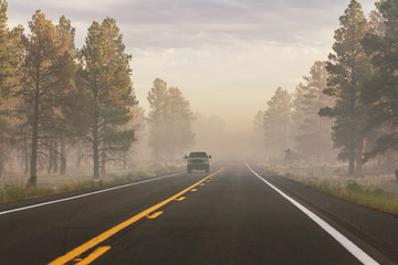 Foggy road
