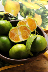 Citrus × tangelo Танжело Mapo 橘柚 תפוזינה Minneola Zitrusfrucht تنجلو タンジェロ Tangelo Tangelopuu Minneolafrucht