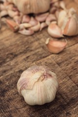 Garlic