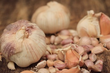 Garlic