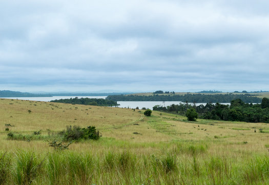 Fototapeta Conkouati-Douli national park, congo