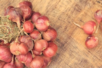 Shallot