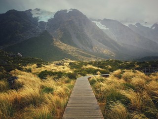 walking track, mount cook