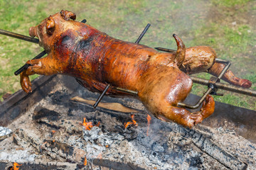 Whole pig piglet suckling fire roast grill barbecue bbq cook pork meat food meal dinner