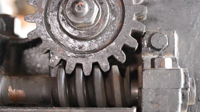 Old spinning gear, real time