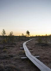 Obraz premium A wooden path on a swamp during sunrise.