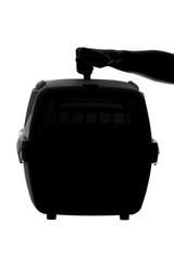 black and white silhouette carrying animals in the hand of a woman on an isolated background