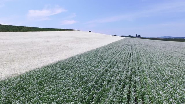Aerial shot of tractor spraying grass seed farm
