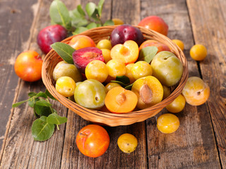 assortment of colorful plum